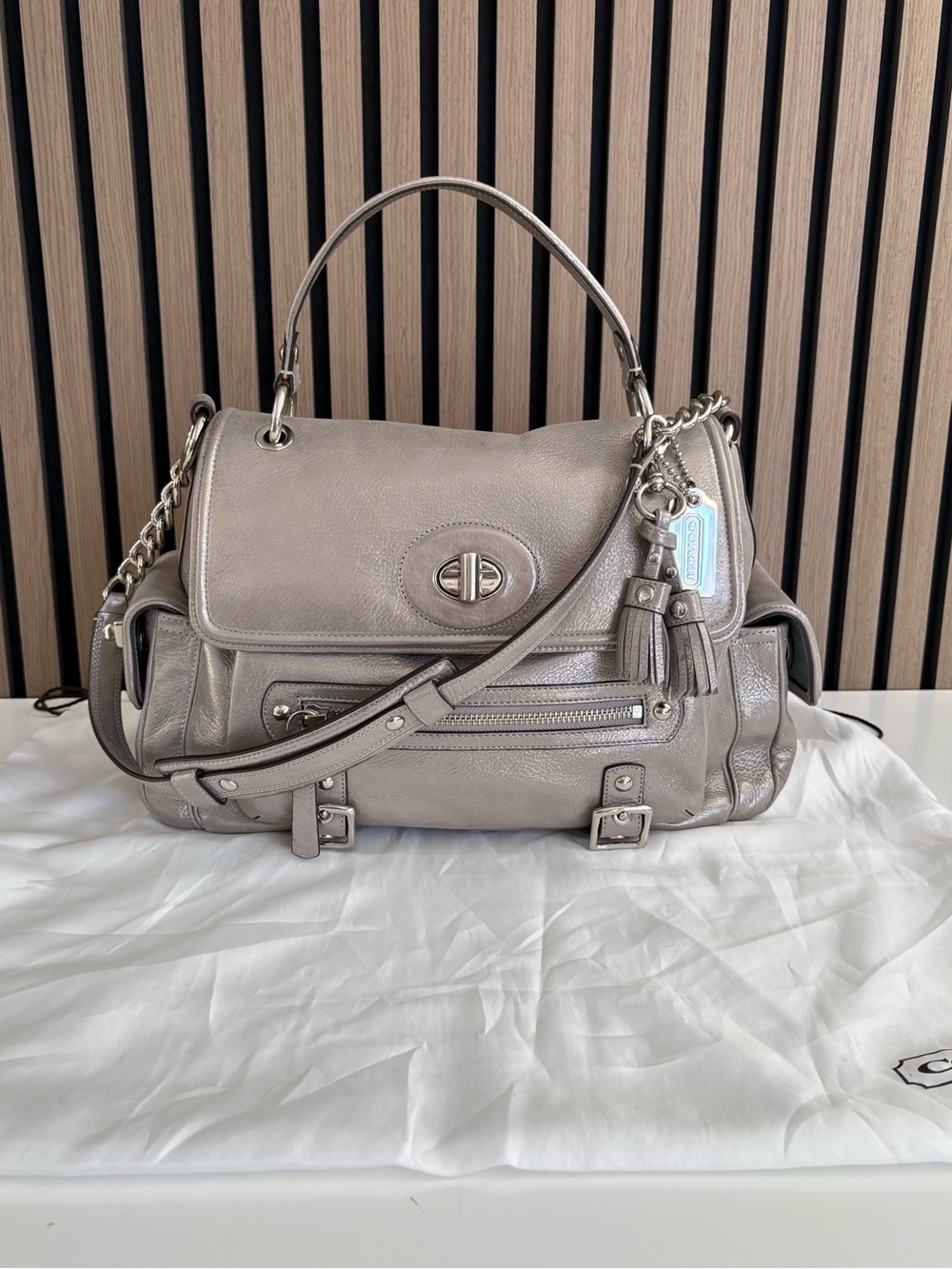 Y2K COACH Sydney Limited Edition Metallic Leather Bag